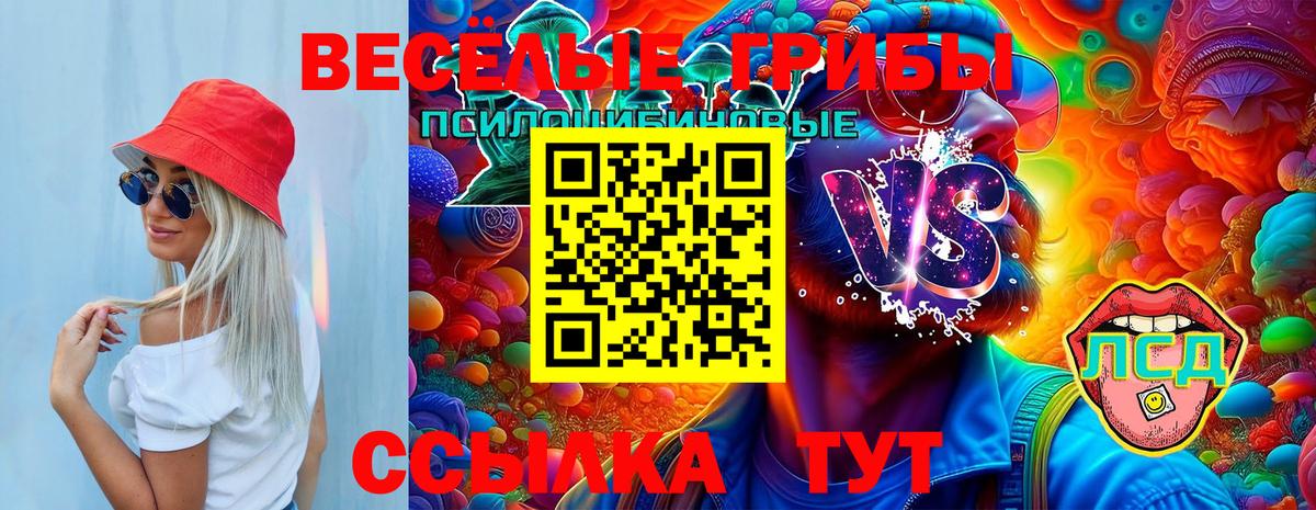 Псилоцибиновые грибы MAGIC MUSHROOMS  Вход с VPN  Карачаевск  Галлюциногенные грибы Psilocybine cubensis 